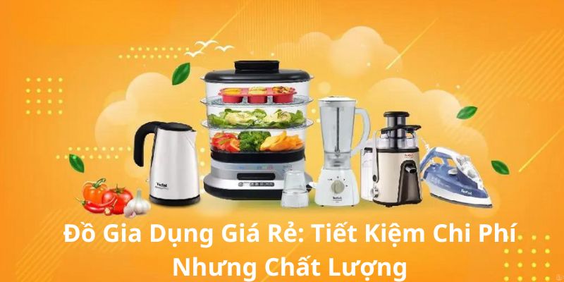 Đồ Gia Dụng Giá Rẻ: Tiết Kiệm Chi Phí Nhưng Chất Lượng