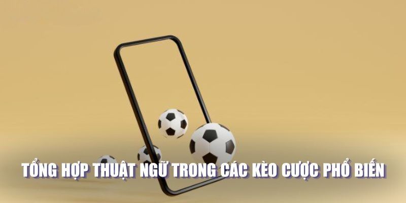 Tổng hợp thuật ngữ trong các kèo cược phổ biến