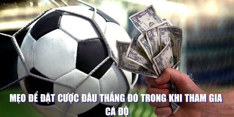 Mẹo để đặt cược đâu thắng đó trong khi tham gia cá độ 